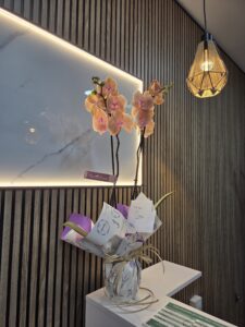 FACIAL : Tratamientos faciales profesionales